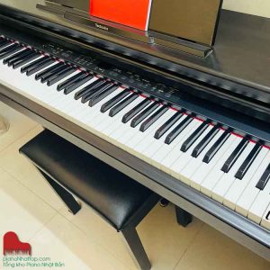 Màu âm sắc nét và linh hoạt