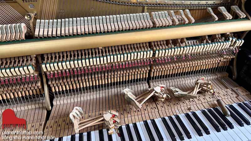 Tổng kho đàn piano nhật hà nội - sửa chữa, bảo dưỡng, lên dây giá rẻ