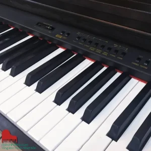 Đàn điện nhật bản giá tốt