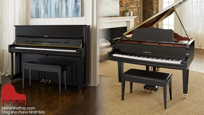 Chất lượng cao và dễ dàng lựa chọn với nhiều thương hiệu nổi tiếng