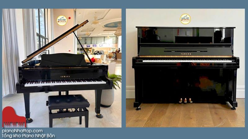 Liên hệ mua đàn piano nhật bản đa dạng qua nhiều hình thức khác nhau