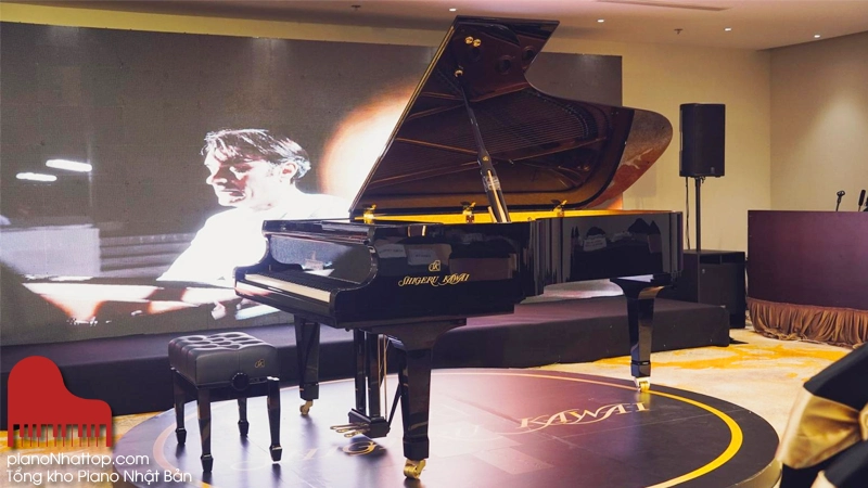 Những sản phẩm được bán tại tổng kho đàn của chúng tôi luôn có chất lượng tốt nhất