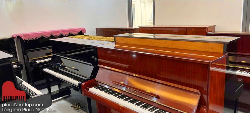 cung cấp tất cả các loại đàn cũ mới