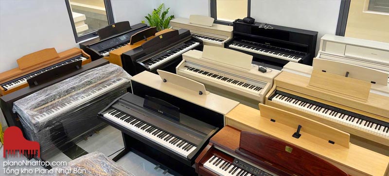 showroom uy tín, chất lượng cung cấp đàn nhật bản chính hãng