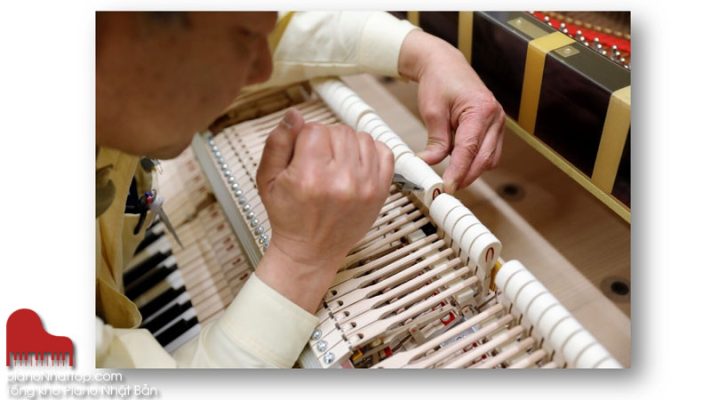 Dịch vụ uy tín và giá rẻ hàng đầu tại miền bắc