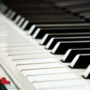 shop đàn dương cầm thương hiệu, giá rẻ, tối ưu chi phí cho người mới chơi