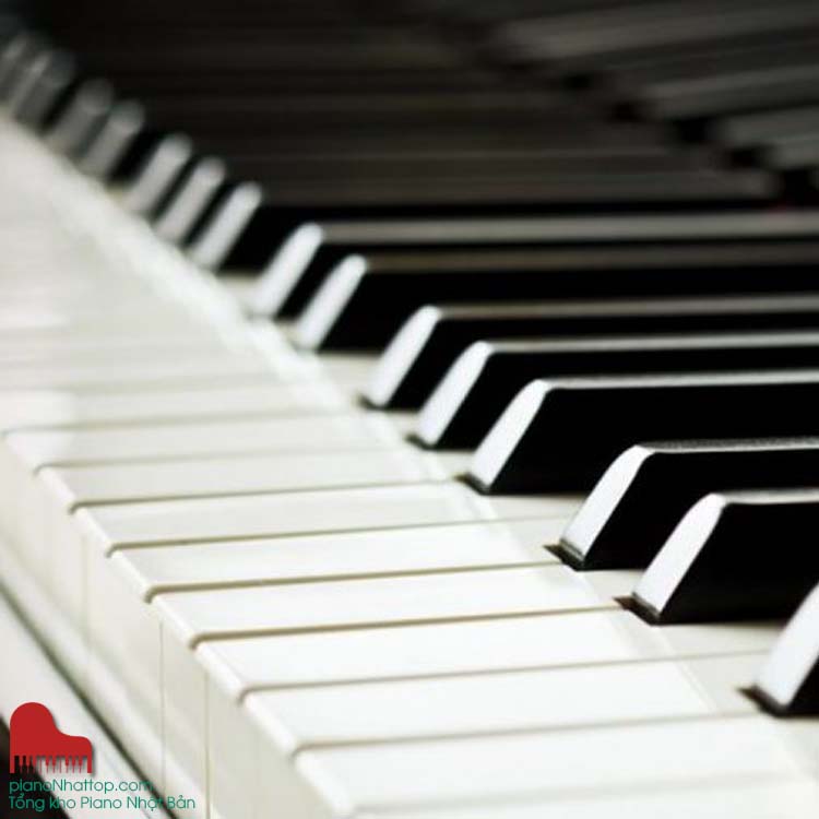shop đàn dương cầm thương hiệu, giá rẻ, tối ưu chi phí cho người mới chơi