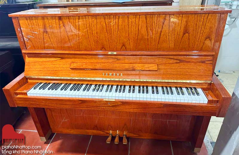 Những dòng đàn nhật bền bỉ, lâu năm đáng tin cậy