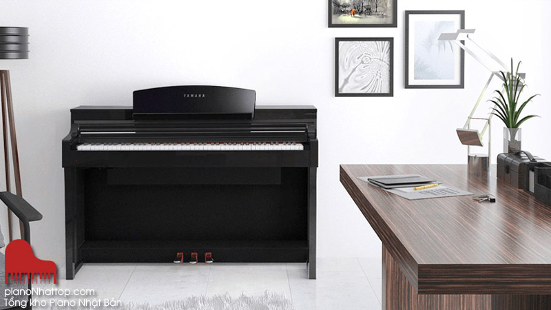 mới học nên chọn đàn cơ, đàn điện hay organ?