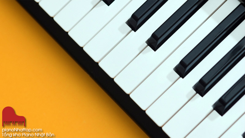 đánh giá đặc tính của cây đàn nhật giá rẻ