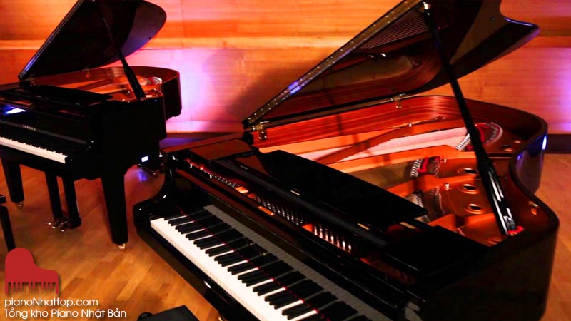 Vai Trò Quyết Định Của Bàn Đạp (Pedal) Piano - Nâng Tầm Bản Nhạc 🚀