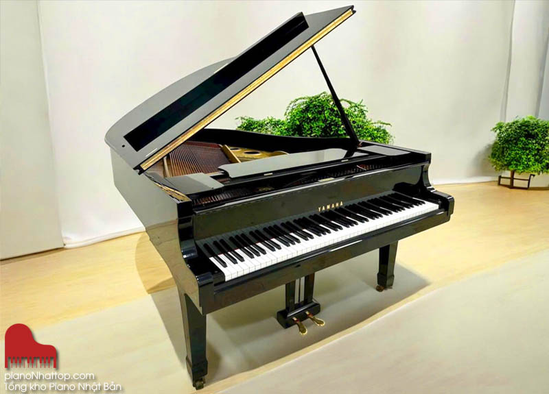 showroom đàn piano nhật giá rẻ hà đông nhận sửa đàn giá rẻ