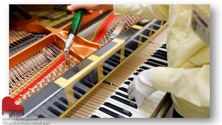 vì sao cần đến các tổng kho và showroom ddnf nhật chất lượng