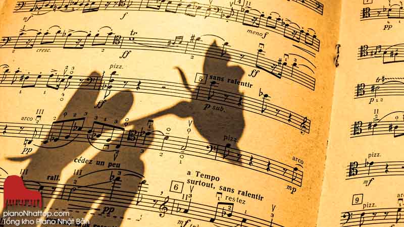 Hoàn thiện thể thất, tăng cường vận động giác quan khi học đàn dương cầm