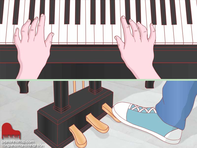 chức năng, công dụng của pedal là gì