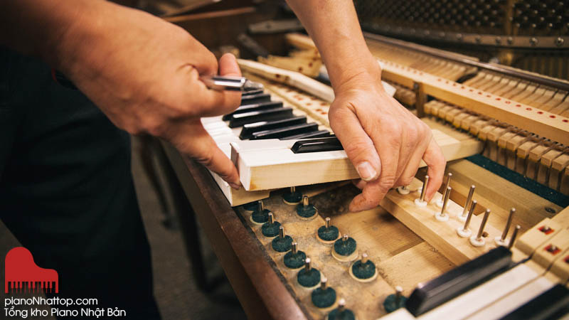 Đơn uy tín và giàu kinh nghiệm cung cấp dịch vụ giá rẻ cho đàn dương cầm