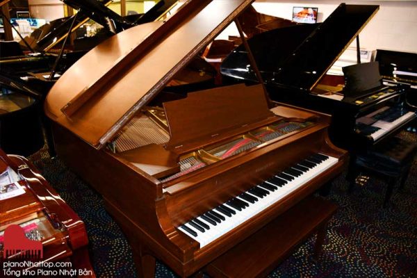 Một số thông tin cơ bản về shop bán đàn