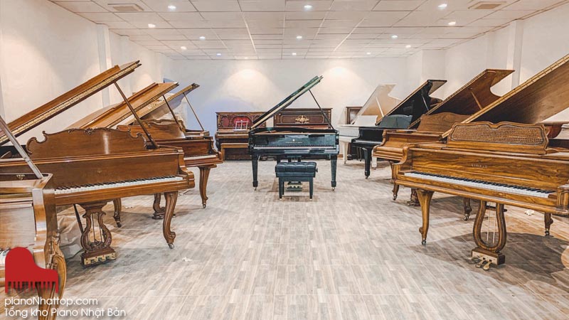 Có nhiều dòng đàn piano cơ và piano điện cho bạn lựa chọn