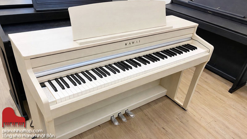 Các doàn nhạc cụ đa dạng được tổng kho cung cấp tại hà nội