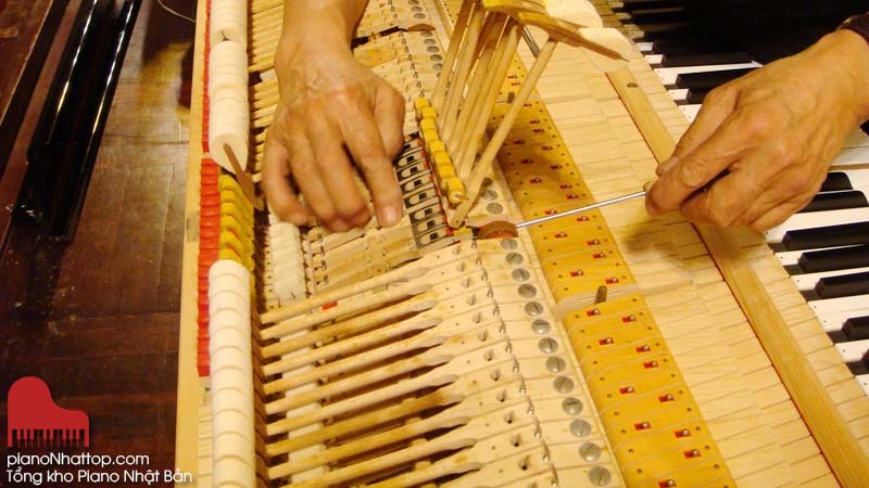tại sao đàn dương cầm định kỳ phải cần được bảo dưỡng?