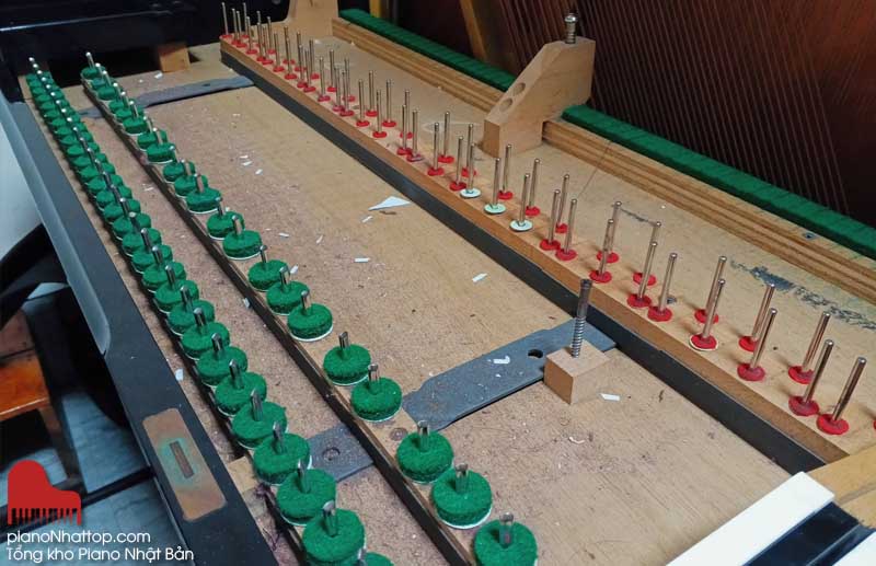 Mua một cây đàn piano Japan giá rẻ thì cần bảo dưỡng chuyên sâu bao lâu 1 lần?
