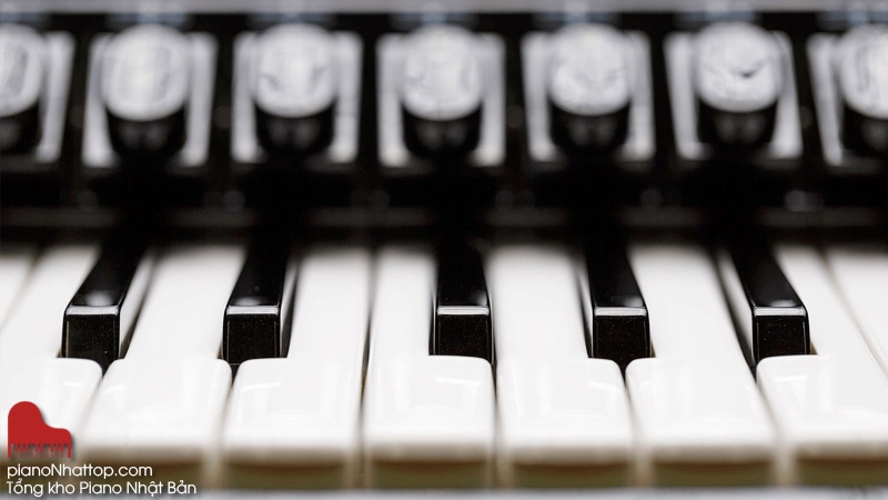 điểm mạnh và hạn chế khi học đàn piano nhật bản