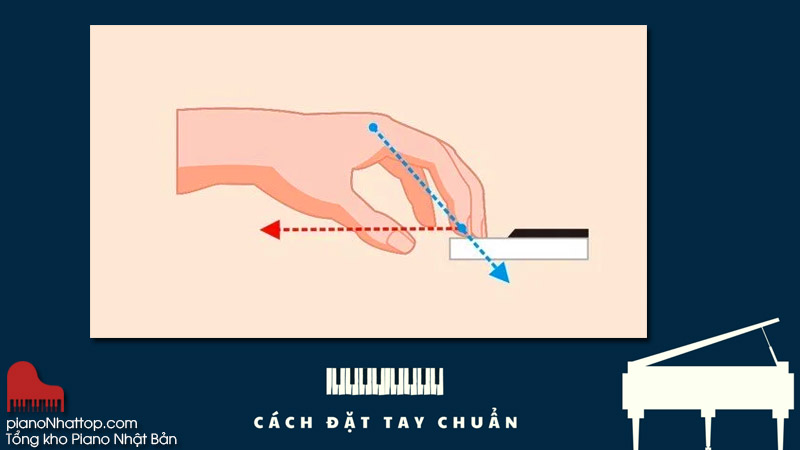 Đặt tay đúng cách - Kỹ năng khi bắt đầu học Piano để chạy ngón linh hoạt