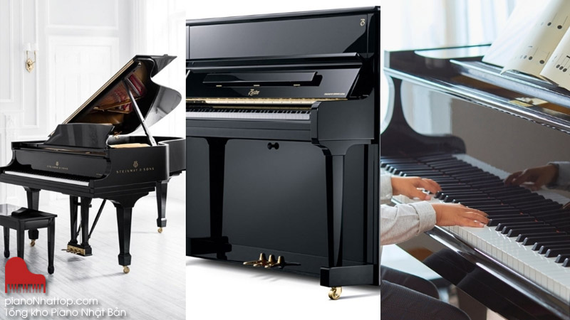 những dòng đàn piano từ nhật bản và thế giới hiện nay