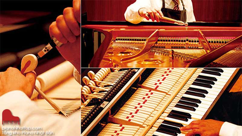 Duy trì độ ẩm cho phòng chứa đàn dương cầm