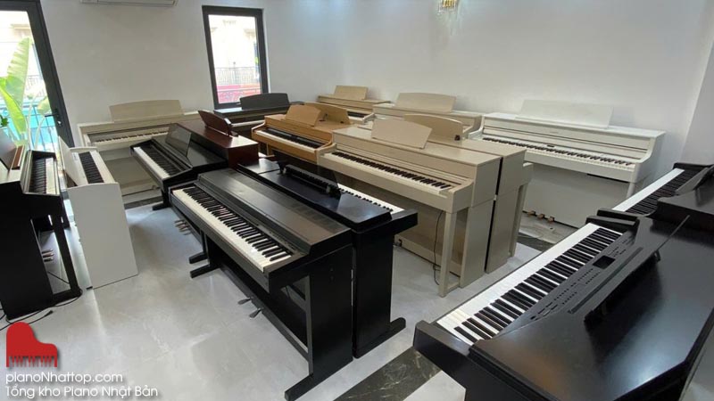 Kinh nghiệm chọn mua đàn thương hiệu Japan