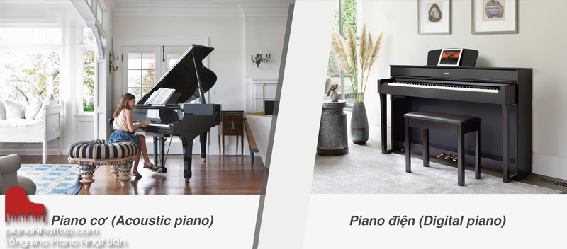 Cách lựa chọn đàn điện hay đàn dương cầm truyền thống