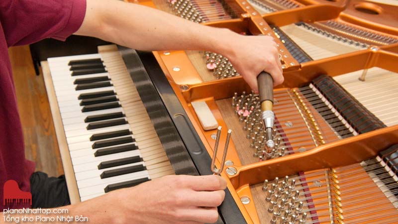 Những nguyên nhân khiến âm thành đàn Piano bị sai lệch