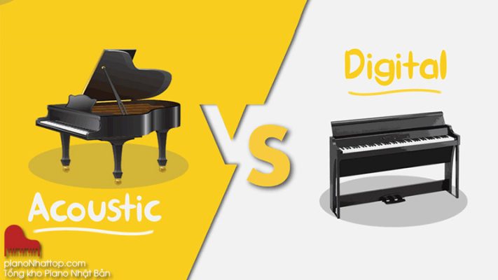 Phân biện đàn cơ - đàn điện từ kinh nghiệm của tổng kho đàn piano ở hà nội