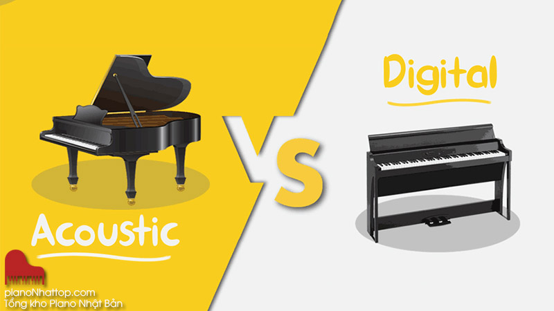 Phân biện đàn cơ - đàn điện từ kinh nghiệm của tổng kho đàn piano ở hà nội