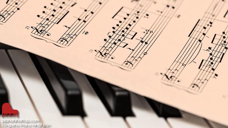 Đàn Piano Nhật Bản - Người bạn cảm xúc đồng hành cùng bạn trong thế giới âm nhạc