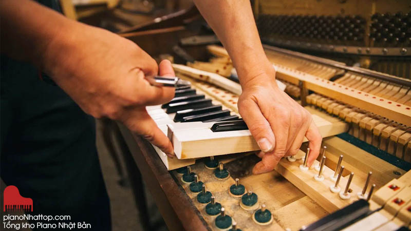 Giới thiệu dịch vụ sửa chữa, lên dây cho Piano