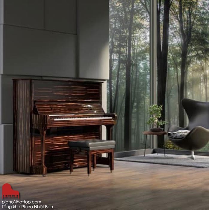 mua đàn piano nhật bản mang lại lợi ích gì cho bạn