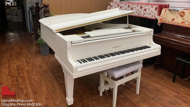 Mua đàn piano nhật bản giá rẻ tại hà nội với chất lượng tốt nhất