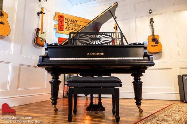 Nhiều người thường nghĩ piano đơn thuần là một nhạc cụ phím. Tuy nhiên, xét về cấu tạo và cơ chế hoạt động, piano thuộc nhóm nhạc cụ dây.