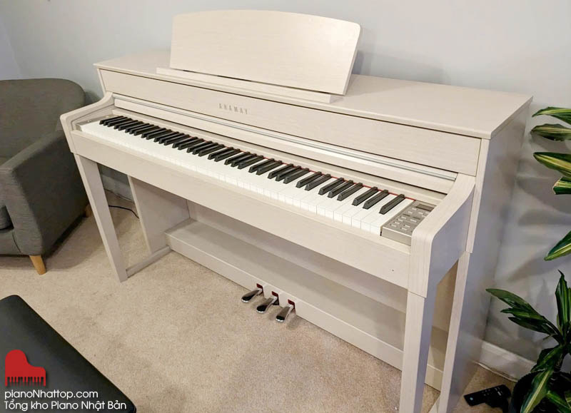 mua và học đàn piano hỗ trợ nhiều cảm xúc