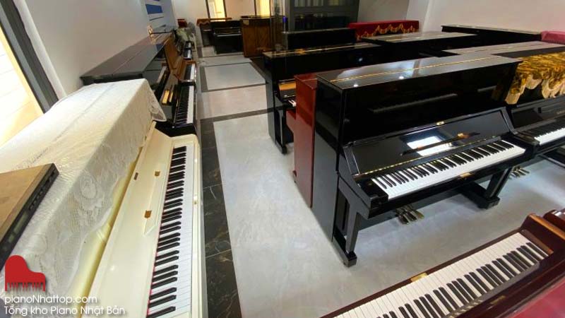 Chia sẻ kinh nghiệm từ showroom đàn Nhật Bản Nam Việt