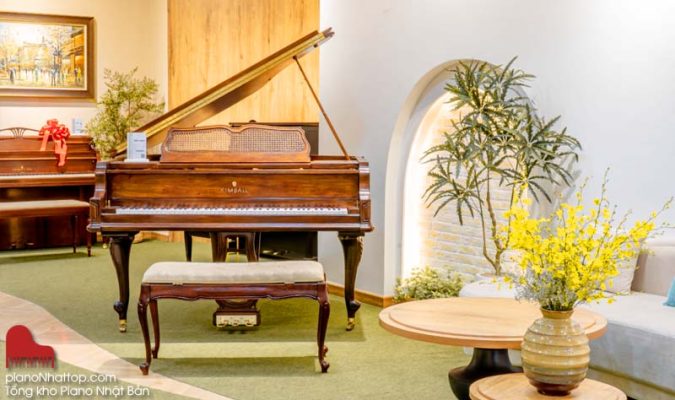 Những điều cần chuẩn bị trước khi học đàn piano