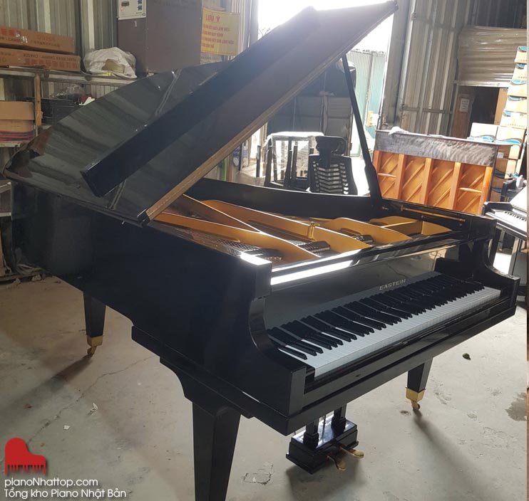 Mua đàn piano cơ ở đâu uy tín?