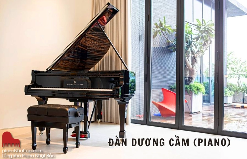 lý do khách chọn mua sản phẩm từ Tổng kho đàn Piano Nhật Bản