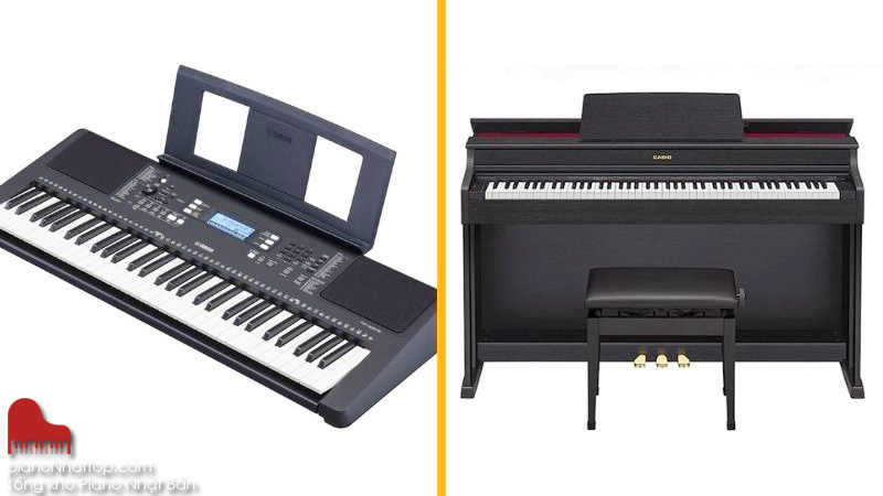  học piano và Organ cái nào khó hơn thường cho kết quả nghiêng về piano