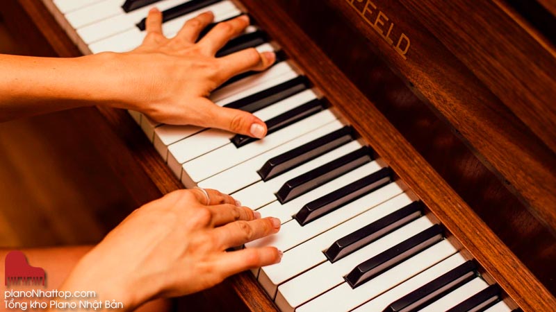 Cách học piano online hiệu quả cho người mới bắt đầu