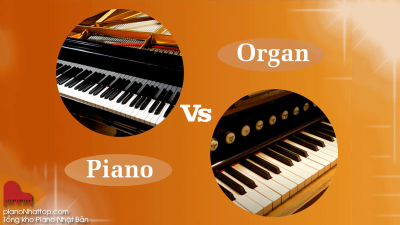 Nên chọn piano hay organ cho người mới bắt đầu?