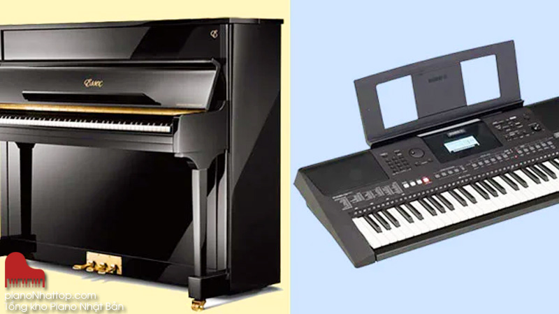 Organ thường tạo cảm giác dễ tiếp cận đối với người mới nhờ hệ thống âm thanh và phần đệm tự động.