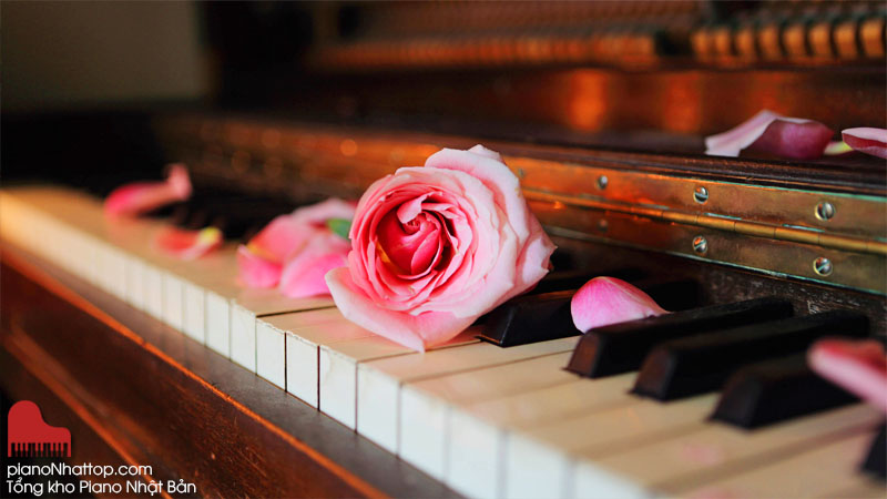 Vì sao nhiều người cho rằng đàn piano có nguồn gốc phương Đông?