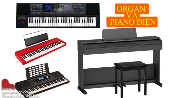 Tìm hiểu tổng quan Organ và Piano điện